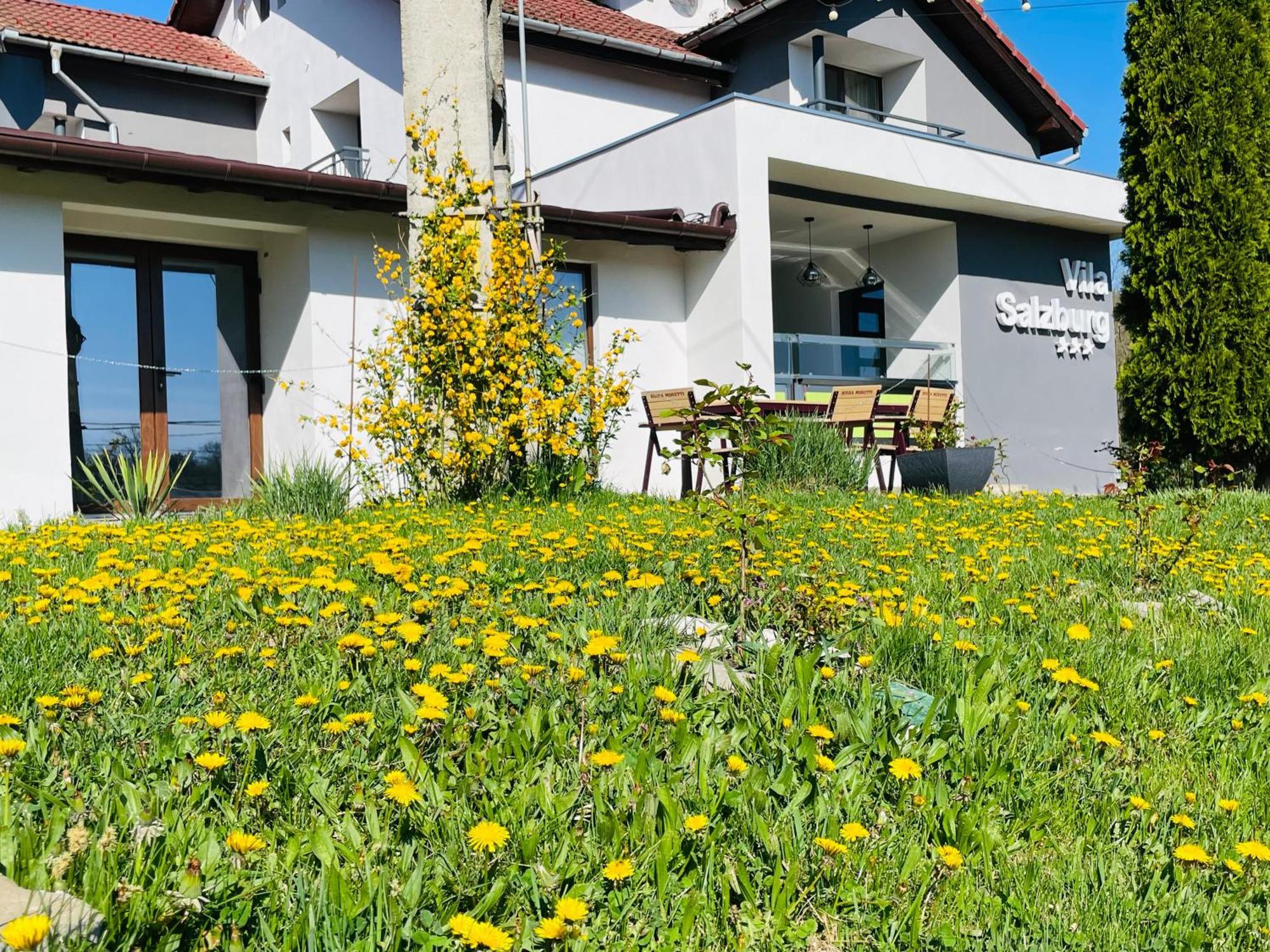Vila Salzburg Hotel ออกนา ซีบิวลุย ภายนอก รูปภาพ